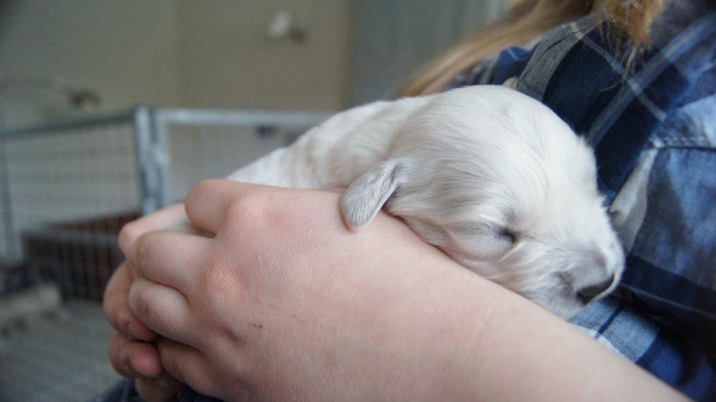 Ze vallen op schoot in slaap