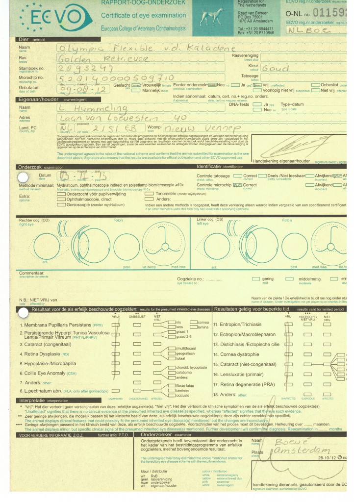 Rapport Oog Onderzoek Amy 001 Rapport Oog Onderzoek Amy