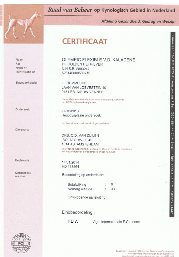 HD Certificaat Amy 001