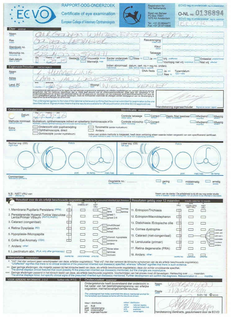 Oogonderzoek Aika 2016/2017